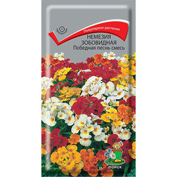 ������ ������ ������� ���������� �������� ����� �����   ����