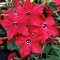 ������ ������ ����� ������ ��� (1��-1000�����)   ����