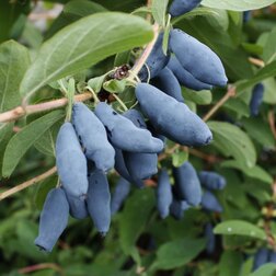 ������ ������ ������� ��������� ��������� ������   ����