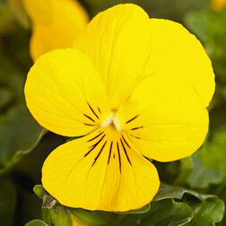 ������ ������ ������ ������� ������ ����� (1��-1000��)   ����