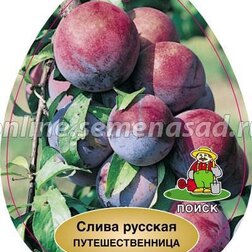 ������ ������ ����� ������� (�����) ��������������� (������ �����) (� �����)   ����