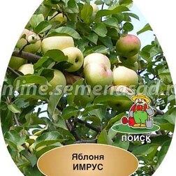 ������ ������ ������ ����� (������ ��������) (� �����)   ����