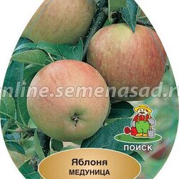 ������ ������ ������ �������� (������ 54-118, ��������������) (� �����)   ����