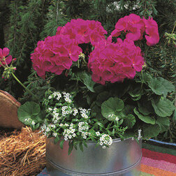 ������ ������ ���������� ��������� ������� ������ (1��-250��) ���������������� ������   ����