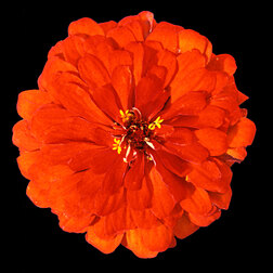 ������ ������ ������ ������ ����� (1��-100 ��) ���������������� ������   ����