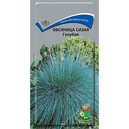 ������ ������ �������� ����� �������   ����