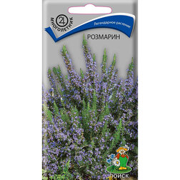 ������ ������ ��������   ����