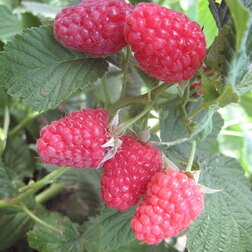 ������ ������ ������ ��������   ����