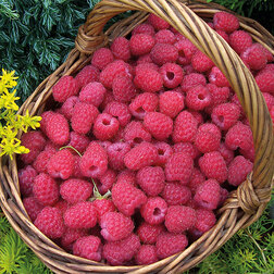 ������ ������ ������ ������� ��������   ����