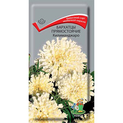 ������ ������ �������� ������������ ������������   ����