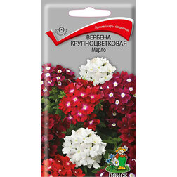 ������ ������ ������� ��������������� �����   ����