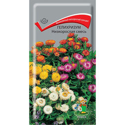 ������ ������ ���������� ����������� �����   ����