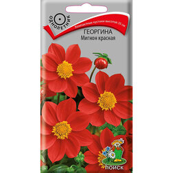 ������ ������ �������� ������ �������   ����