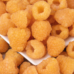 ������ ������ ������ ������ ������   ����