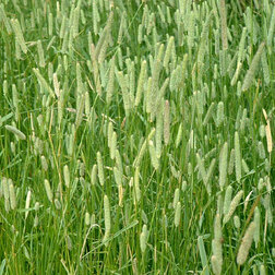 ������ ������ ���������� ������� ���-9 (1��)   ����