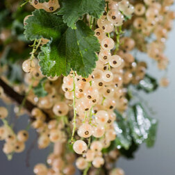 ������ ������ ��������� ����� �����������   ����