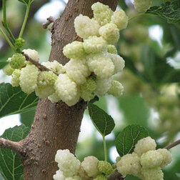 ������ ������ ��������� �����   ����