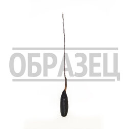 ������ ������ ������ ���������� ������������   ����