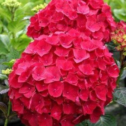 ������ ������ ��������� �������������� ��� �����   ����