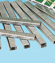 ������ ������ ����� ��� �������� 604-L   ����