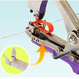 ������ ������ �������� �����   ����