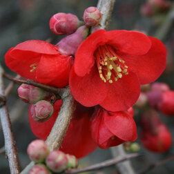 ������ ������ ���� ������������ ���� ����   ����