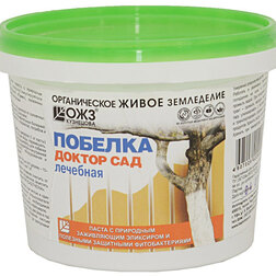 ������ ������ ������� ������� - ������ ��� (1��) ����� ��������   ����