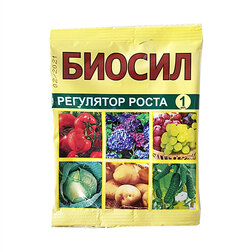 ������ ������ ������ 1�� ��������� �� ���� �����(������,����������.)   ����