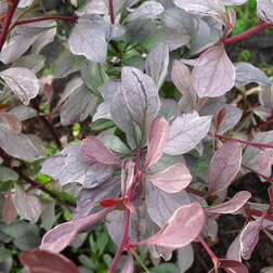 ������ ������ �������� ��������� ����� �����   ����