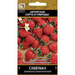 ������ ������ ��������� ������������ ��������   ����