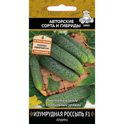 ������ ������ ������ ���������� ������� F1   ����