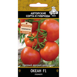 ������ ������ ����� ����� F1   ����