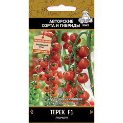 ������ ������ ����� ����� F1   ����