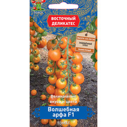 ������ ������ ����� ��������� ���� F1 (��������� ���������)   ����