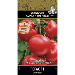 ������ ������ ����� ����� F1   ����