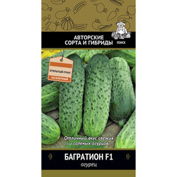 ������ ������ ������ ��������� F1   ����