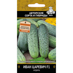 ������ ������ ������ ���� ������� F1   ����