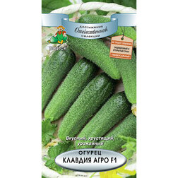 ������ ������ ������ ������� ���� F1   ����