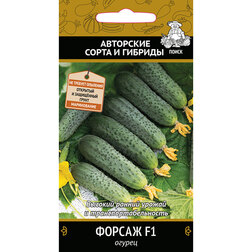 ������ ������ ������ ������ F1   ����