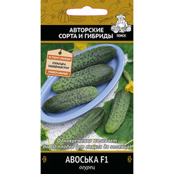 ������ ������ ������ ������� F1   ����