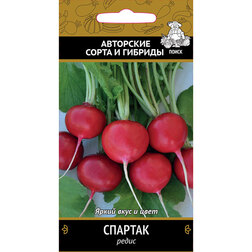 ������ ������ ����� �������   ����