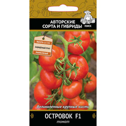 ������ ������ ����� �������� F1   ����