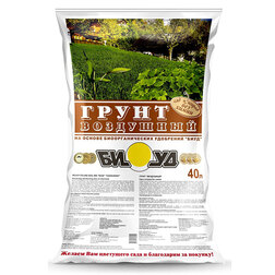 ������ ������ ����� ��������� �� ������ �������� ����(40�.) (������)   ����