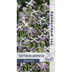 ������ ������ �������� �������� ������� (��������� ���)   ����