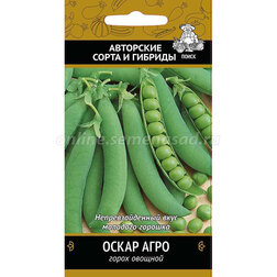 ������ ������ ����� ������� ����� ����   ����