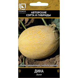 ������ ������ ���� ����   ����