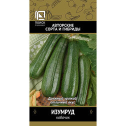 ������ ������ ������� �������   ����