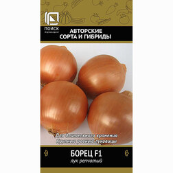 ������ ������ ��� �������� ����� F1   ����