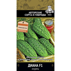 ������ ������ ������ ����� F1   ����