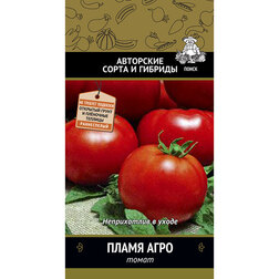 ������ ������ ����� ����� ����   ����